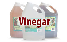 Vinegar
